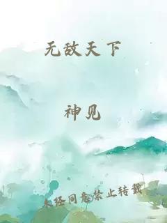 无敌天下