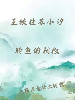 王铁柱苏小汐