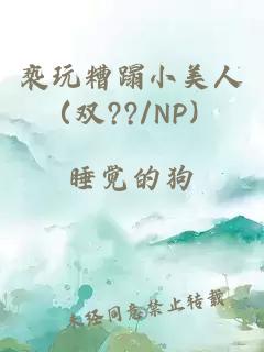 亵玩糟蹋小美人（双??/NP）