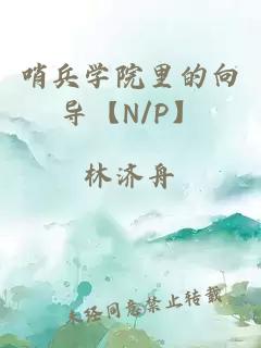 哨兵学院里的向导【N/P】