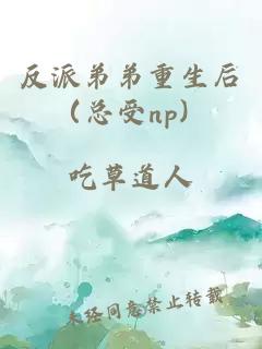 反派弟弟重生后（总受np）