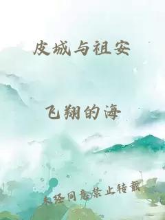 皮城与祖安