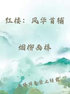 红楼：风华首辅