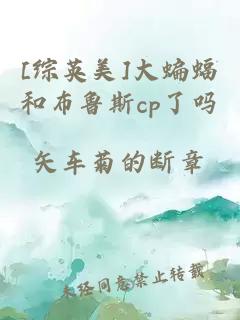 [综英美]大蝙蝠和布鲁斯cp了吗