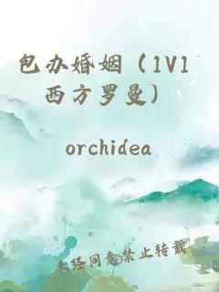 包办婚姻（1V1 西方罗曼）