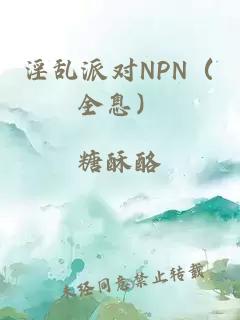 淫乱派对NPN（全息）