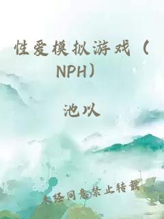 性爱模拟游戏（NPH）