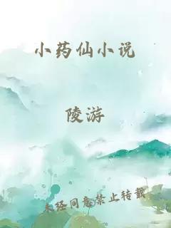 小药仙小说